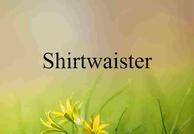 Shirtwaister (noun) Definition, Meaning & Examples