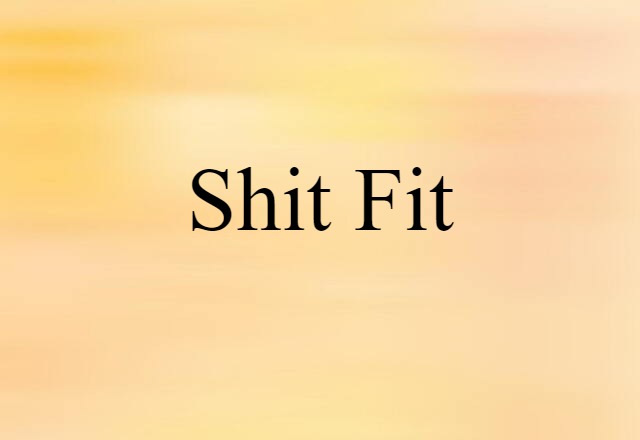 Shit Fit (noun) Definition, Meaning & Examples