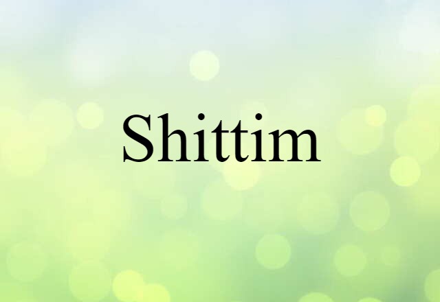 Shittim (noun) Definition, Meaning & Examples