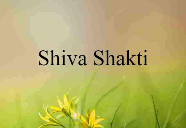 Shiva-Shakti