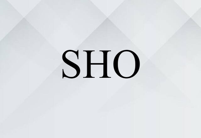 SHO (noun) Definition, Meaning & Examples