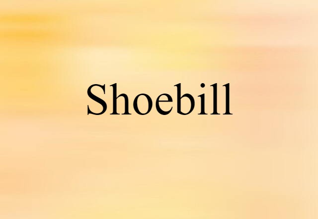 Shoebill (noun) Definition, Meaning & Examples