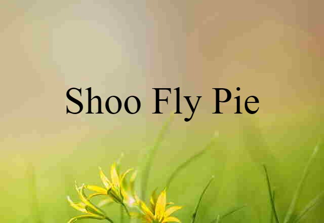 shoo fly pie