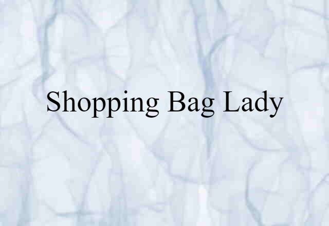 shopping bag lady