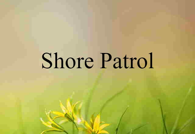 shore patrol