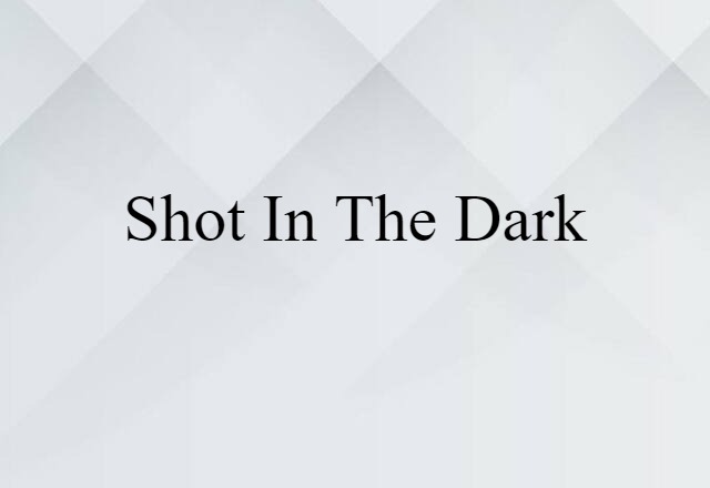 shot in the dark