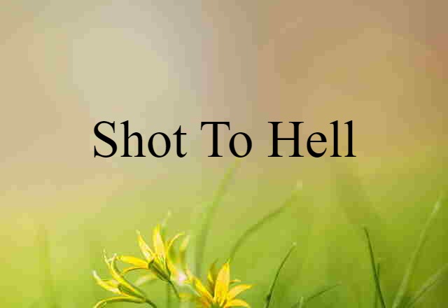 shot to hell