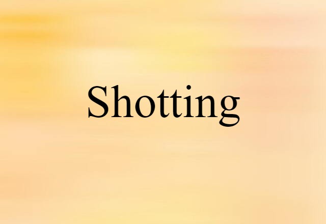 Shotting (noun) Definition, Meaning & Examples