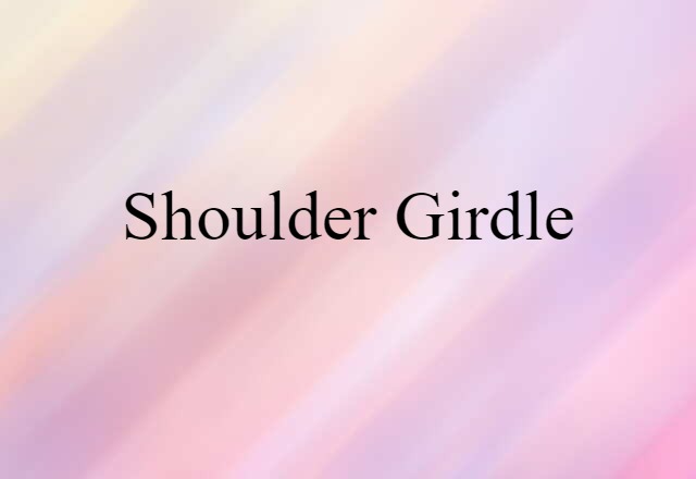 shoulder girdle