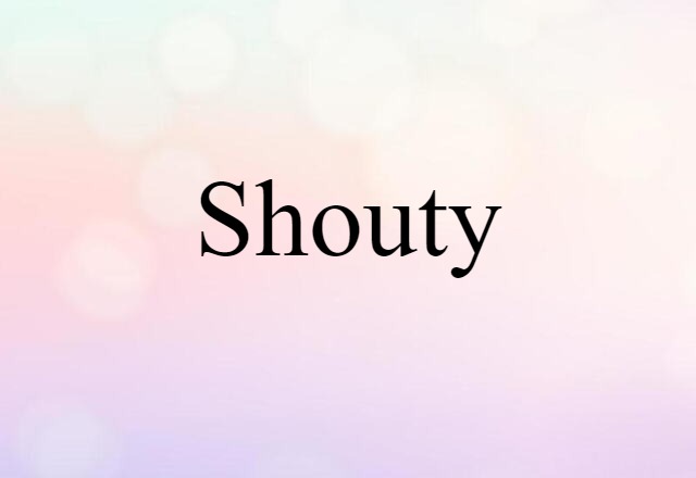 Shouty (noun) Definition, Meaning & Examples