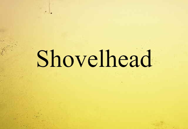 shovelhead