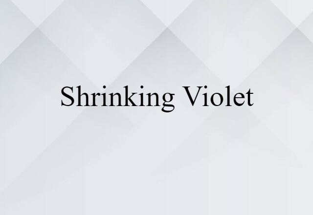 shrinking violet