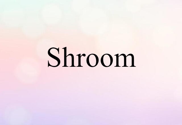 Shroom (noun) Definition, Meaning & Examples