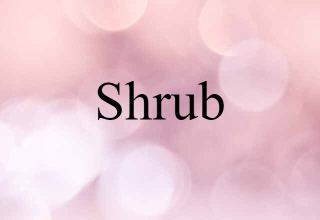 shrub