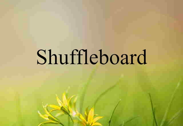 shuffleboard