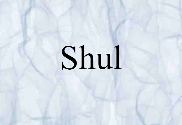 Shul (noun) Definition, Meaning & Examples