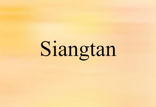 Siangtan (noun) Definition, Meaning & Examples