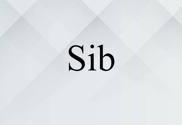 Sib (noun) Definition, Meaning & Examples