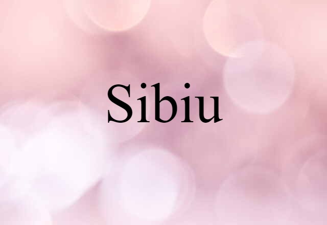 Sibiu (noun) Definition, Meaning & Examples