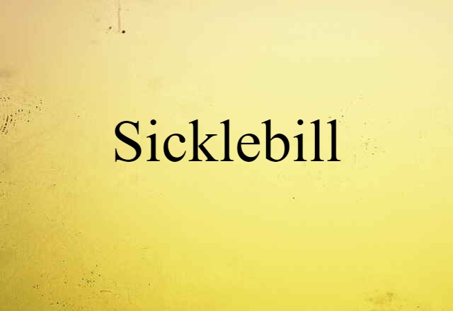 sicklebill