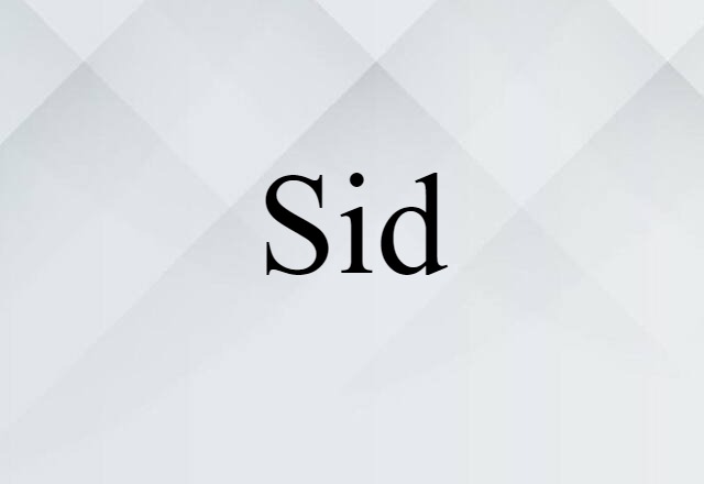 Sid (noun) Definition, Meaning & Examples