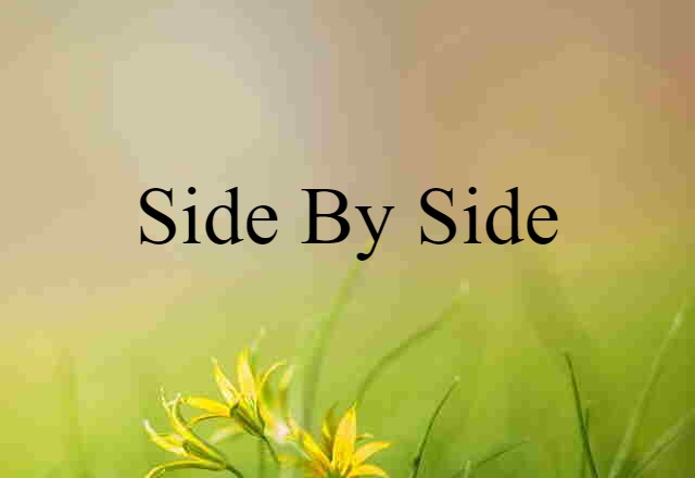 Side By Side (noun) Definition, Meaning & Examples