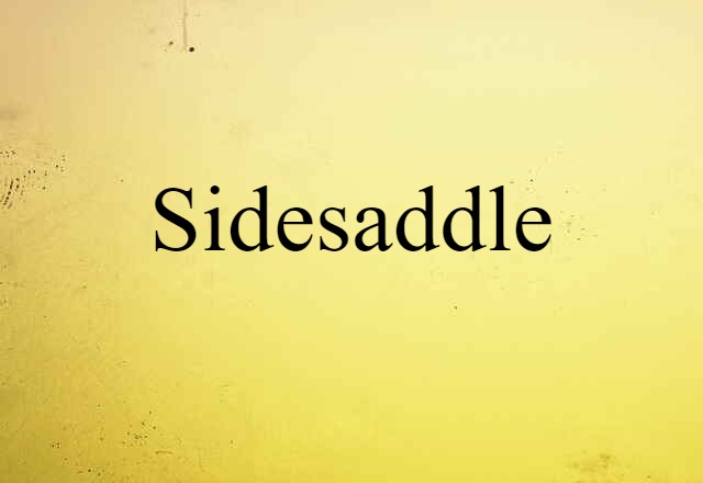 Sidesaddle (noun) Definition, Meaning & Examples