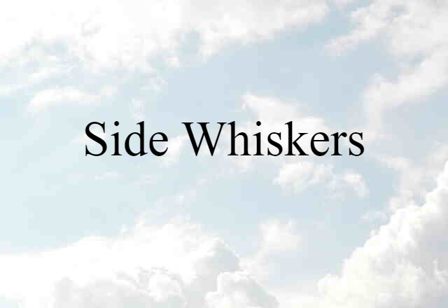 Side Whiskers (noun) Definition, Meaning & Examples