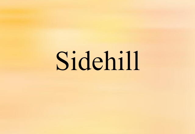 Sidehill (noun) Definition, Meaning & Examples