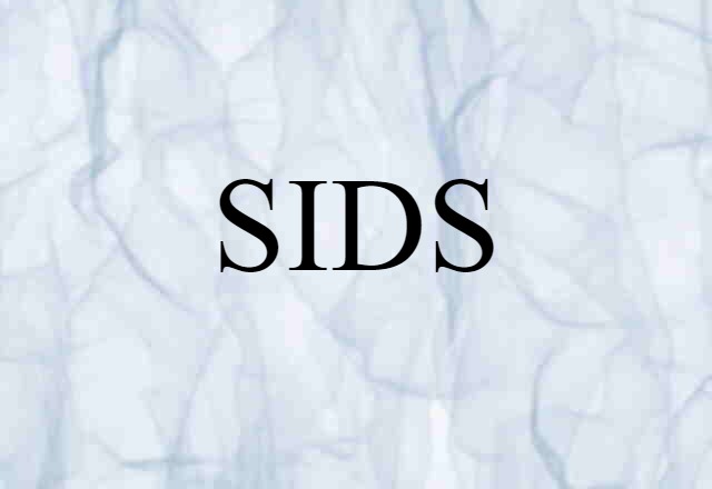 SIDS (noun) Definition, Meaning & Examples