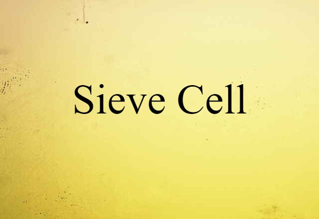 sieve cell