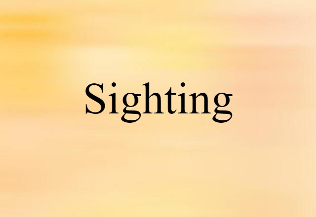 Sighting (noun) Definition, Meaning & Examples