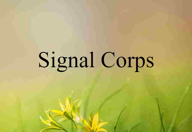 signal corps