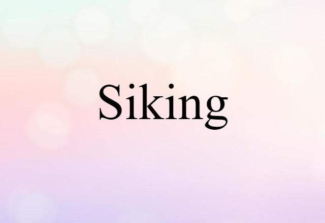 Siking (noun) Definition, Meaning & Examples