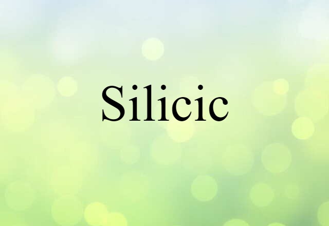 Silicic (noun) Definition, Meaning & Examples