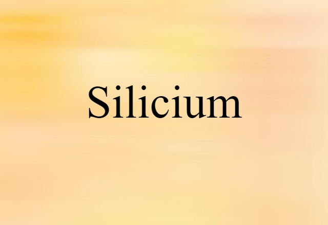 Silicium (noun) Definition, Meaning & Examples