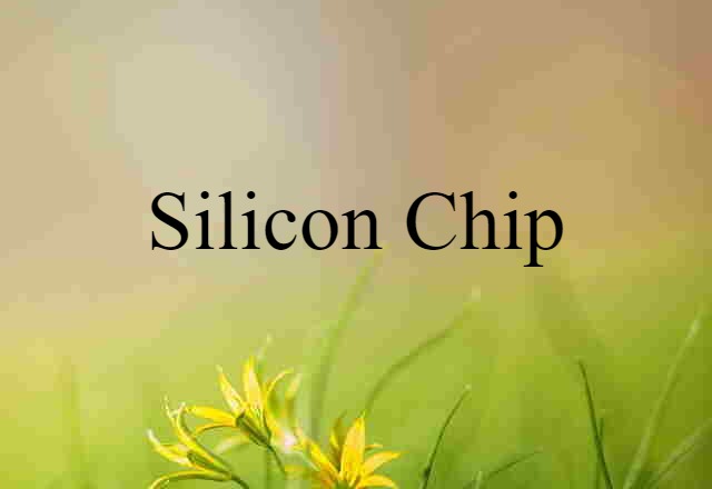 silicon chip