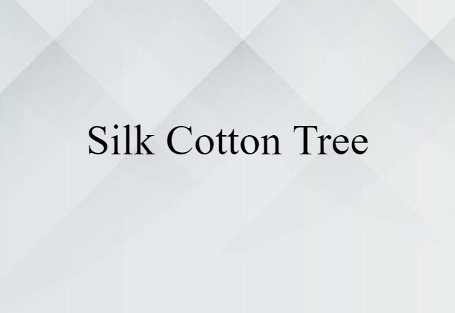 silk-cotton tree