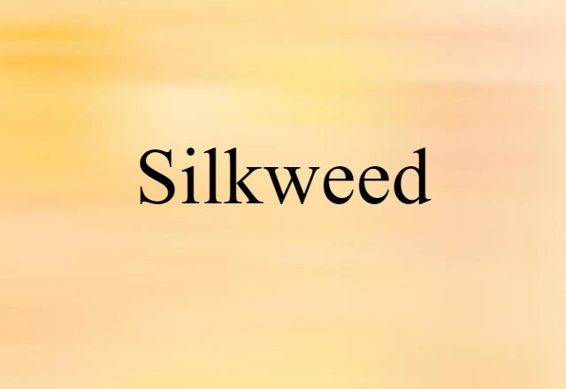 Silkweed (noun) Definition, Meaning & Examples