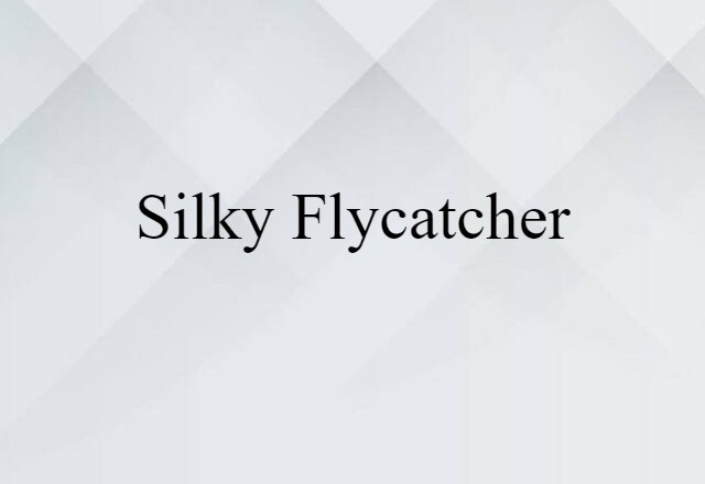 silky flycatcher