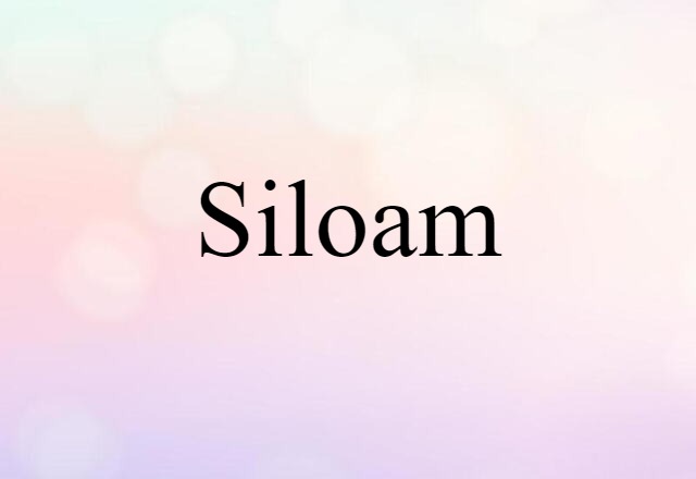 Siloam (noun) Definition, Meaning & Examples