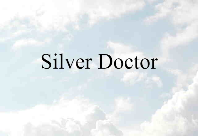 Silver Doctor (noun) Definition, Meaning & Examples