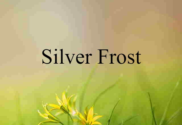 Silver Frost (noun) Definition, Meaning & Examples