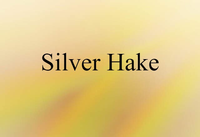 Silver Hake (noun) Definition, Meaning & Examples