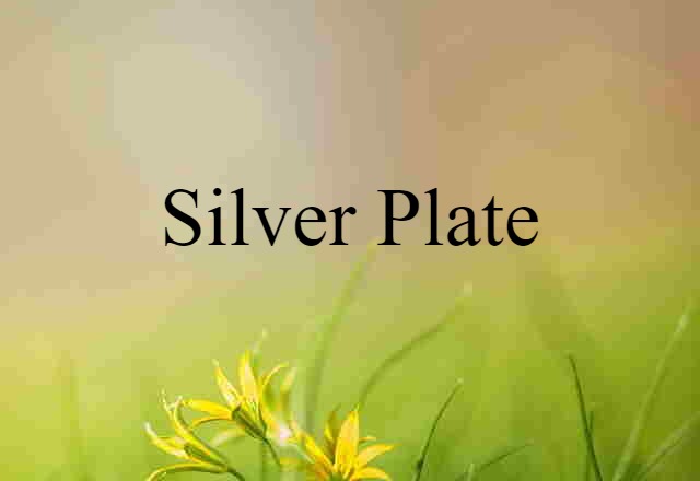 silver plate