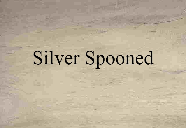 Silver-spooned (noun) Definition, Meaning & Examples