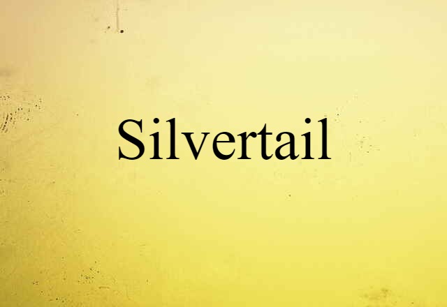 Silvertail (noun) Definition, Meaning & Examples