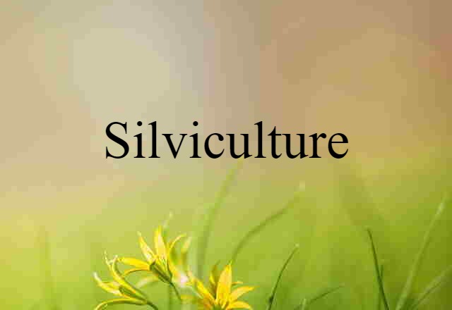 Silviculture (noun) Definition, Meaning & Examples