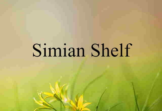 simian shelf