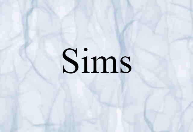 Sims (noun) Definition, Meaning & Examples